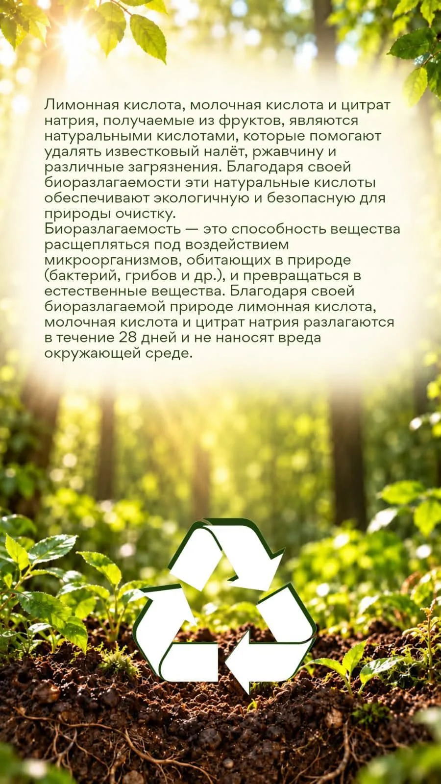 БИО средство для удаления накипи